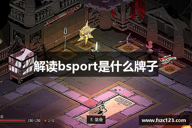 解读bsport是什么牌子